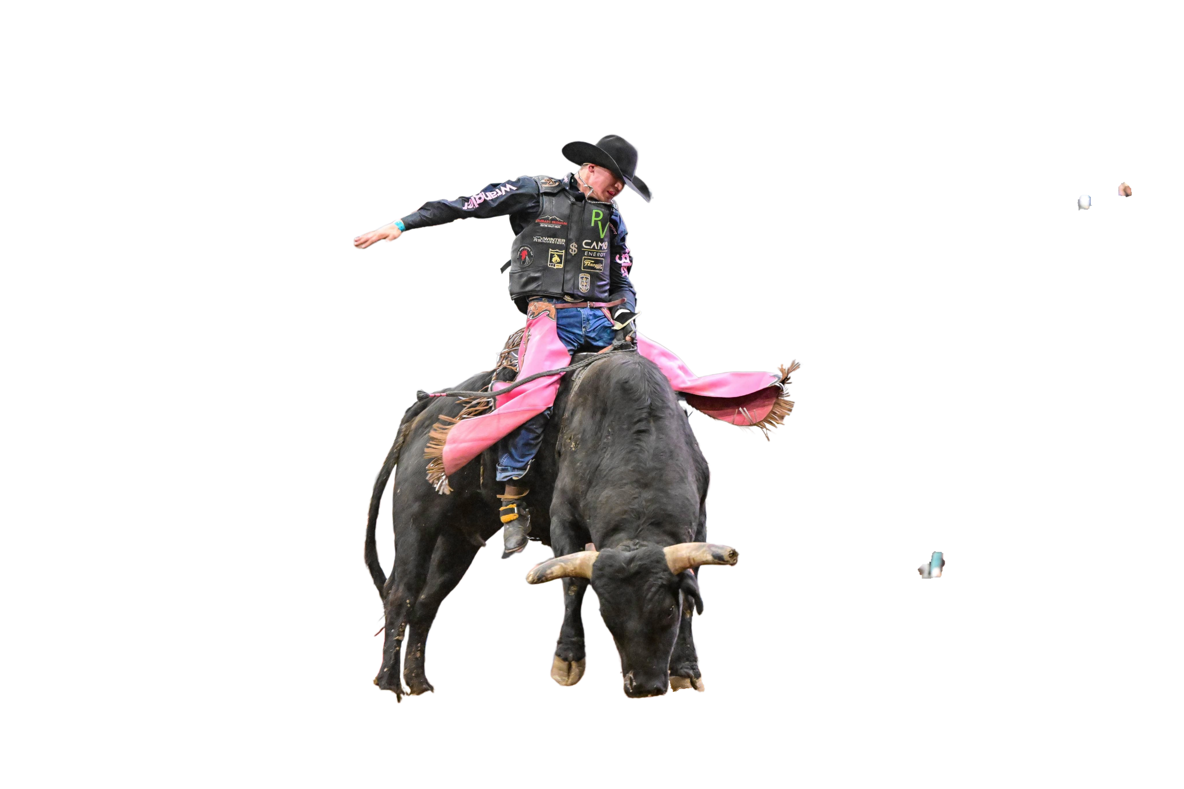 Route 66 Pro Rodeo and Concerts photo 1