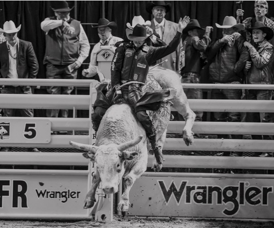 Music City Rodeo photo 1