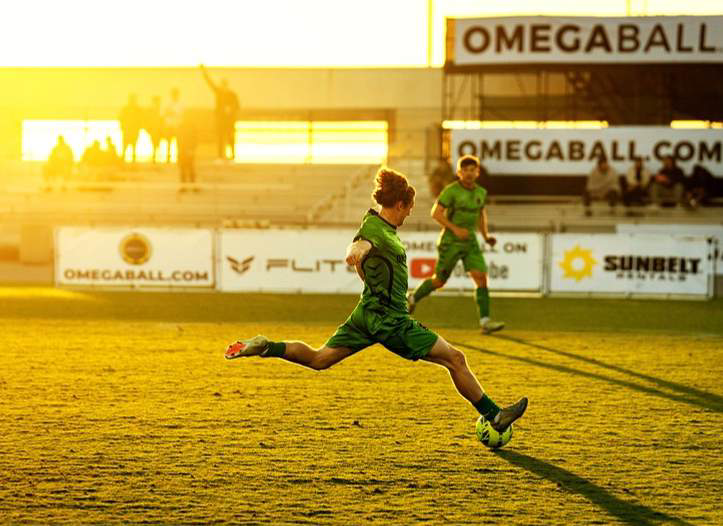 Omegaball Partnership Opportunity photo 3