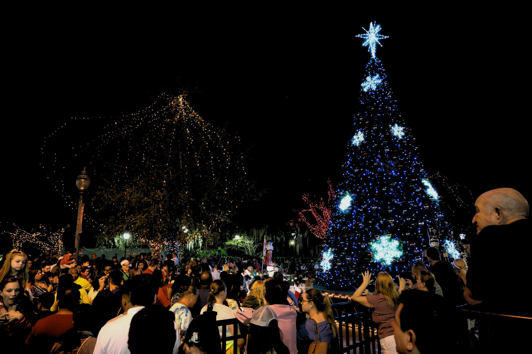 Light Up Mount Dora Annual Celebration photo 1