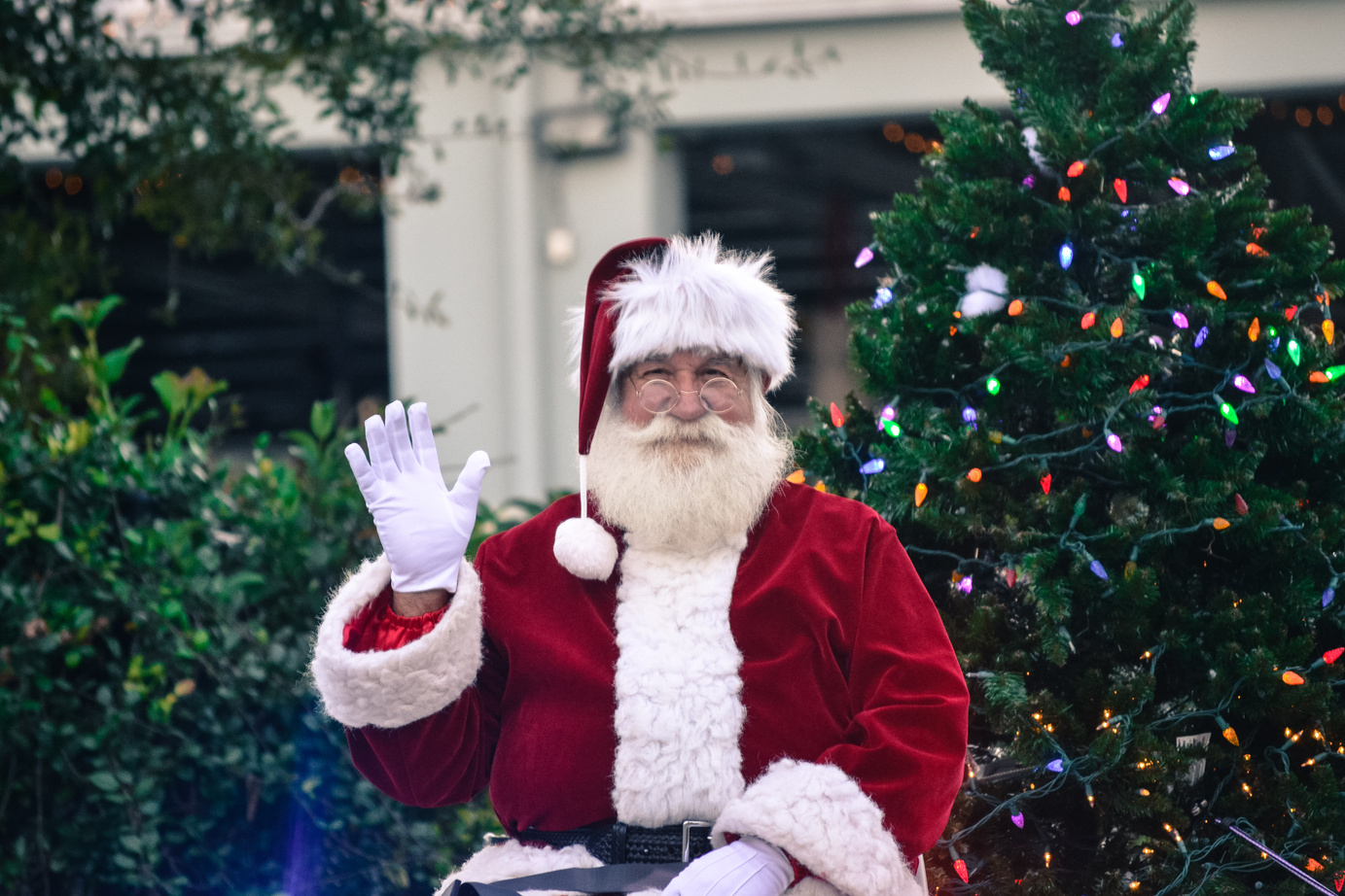 Light Up Mount Dora Annual Celebration photo 2